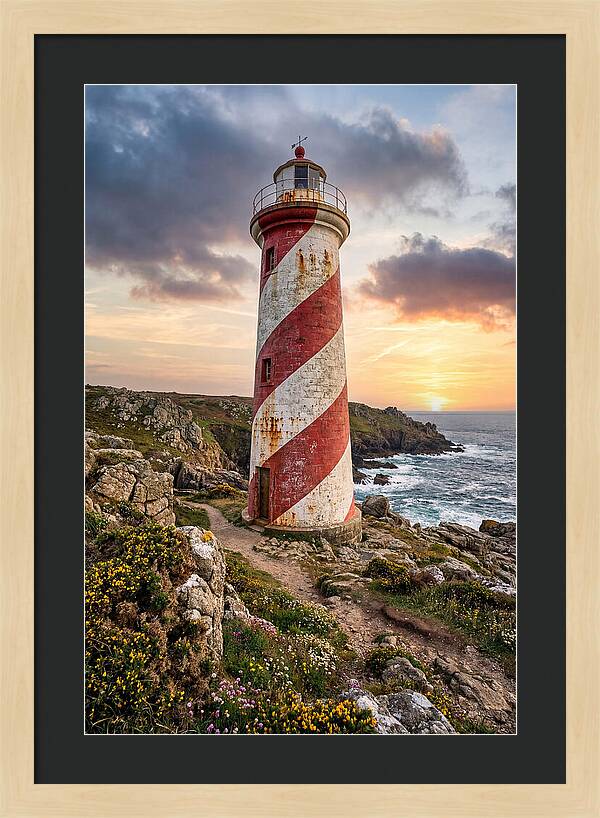 Liston Range Rear Light