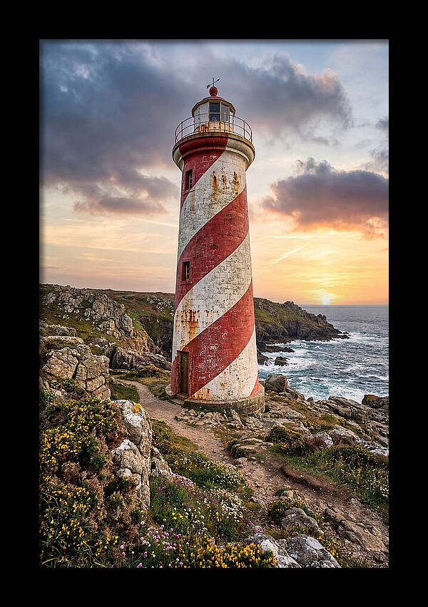 Liston Range Rear Light