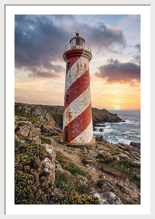 Liston Range Rear Light