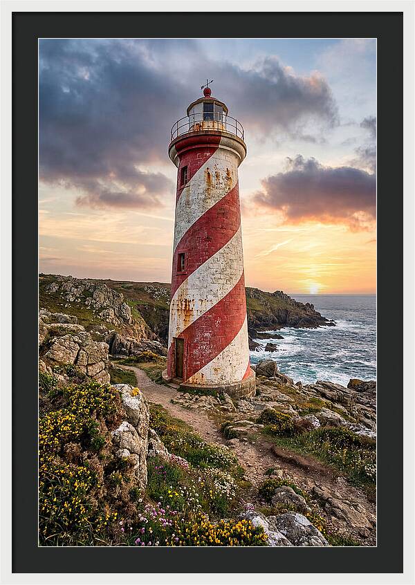 Liston Range Rear Light