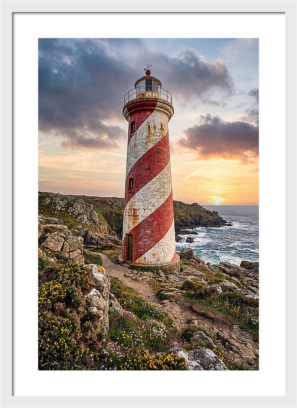 Liston Range Rear Light