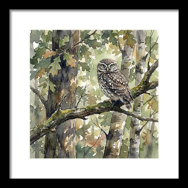 Little Owl Among The Trees