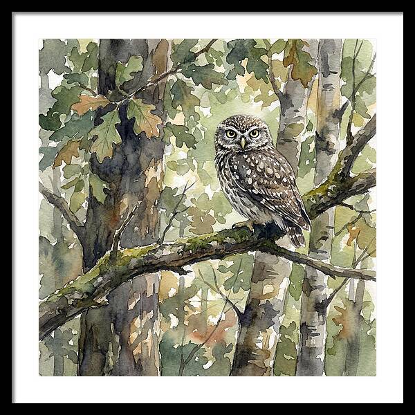 Little Owl Among The Trees