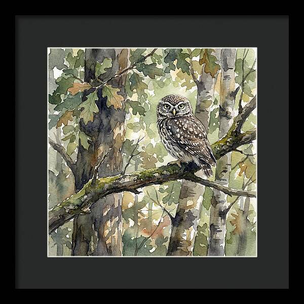 Little Owl Among The Trees
