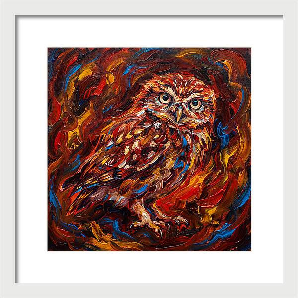 Little Owl In Fiery Colors