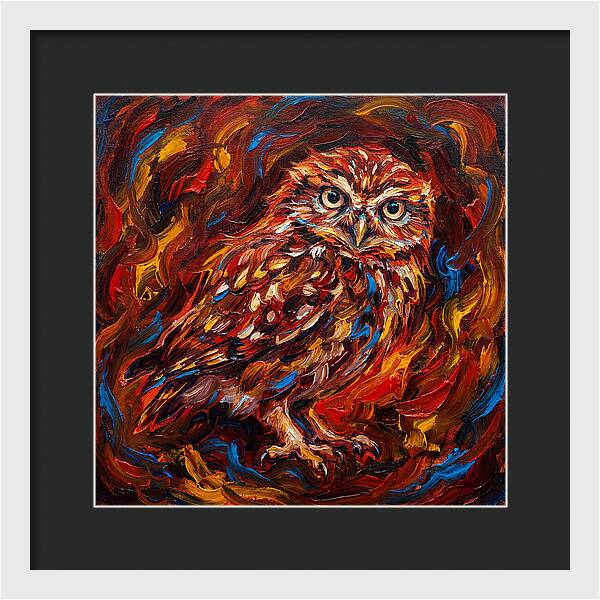 Little Owl In Fiery Colors