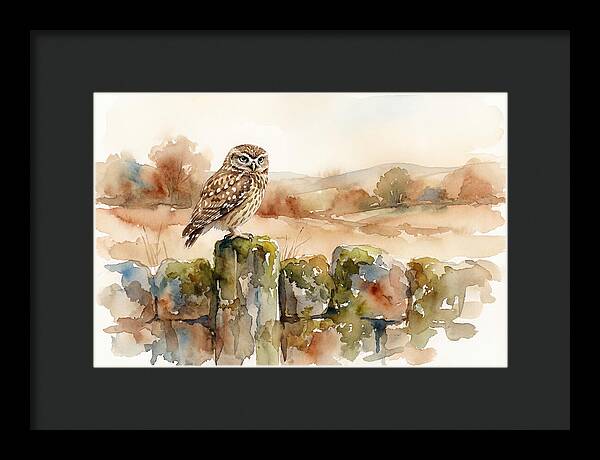 Little Owl On A Stone Wall