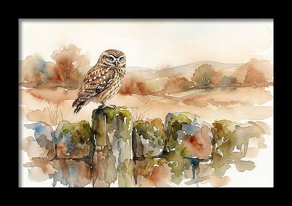 Little Owl On A Stone Wall