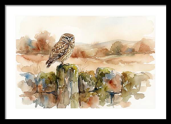 Little Owl On A Stone Wall