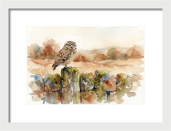 Little Owl On A Stone Wall