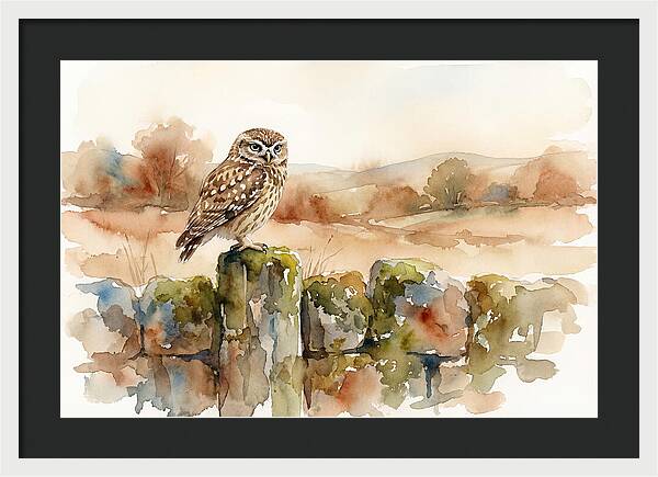 Little Owl On A Stone Wall