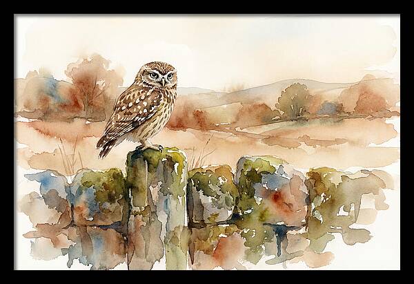 Little Owl On A Stone Wall