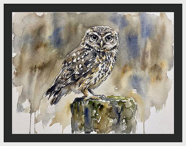 Little Owl Perched Gracefully
