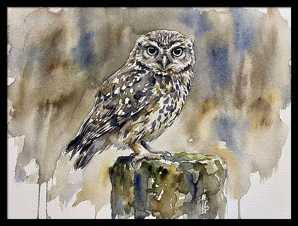 Little Owl Perched Gracefully