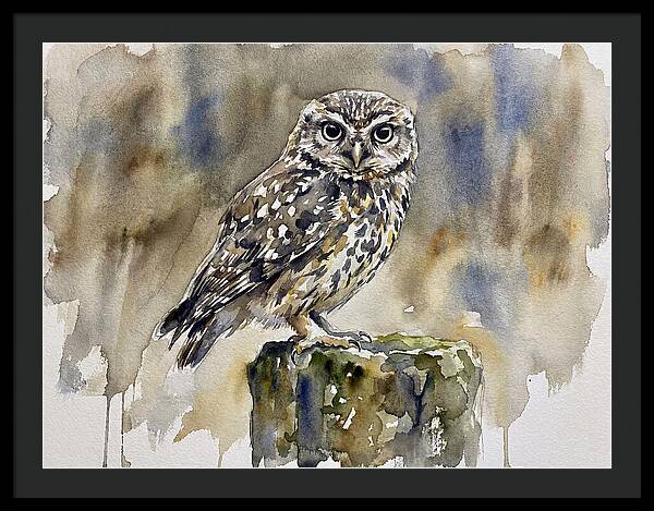 Little Owl Perched Gracefully