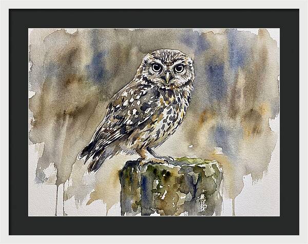 Little Owl Perched Gracefully