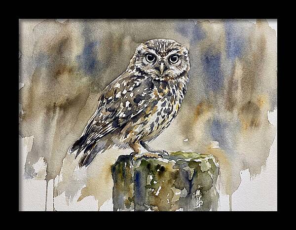 Little Owl Perched Gracefully