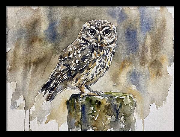 Little Owl Perched Gracefully