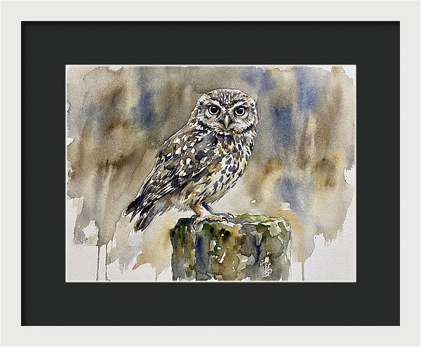 Little Owl Perched Gracefully