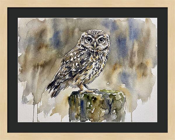 Little Owl Perched Gracefully