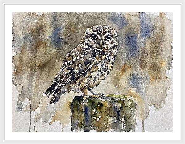 Little Owl Perched Gracefully