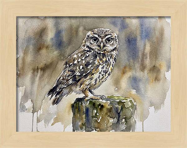 Little Owl Perched Gracefully