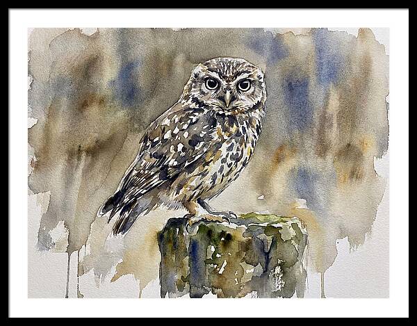 Little Owl Perched Gracefully
