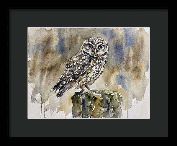 Little Owl Perched Gracefully