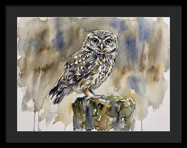 Little Owl Perched Gracefully