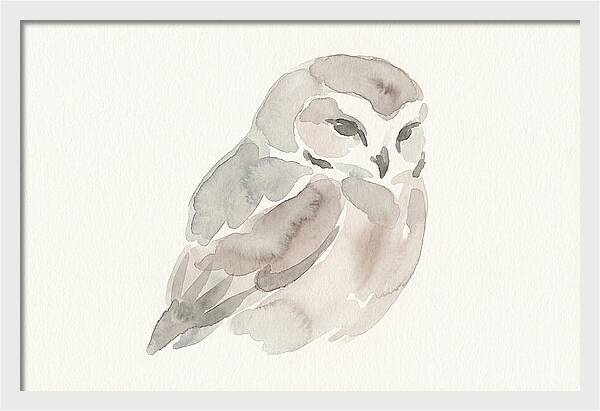 Little Owl Watercolor Study