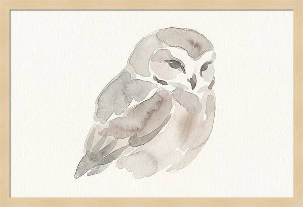 Little Owl Watercolor Study