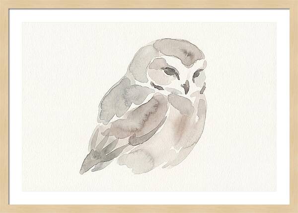 Little Owl Watercolor Study