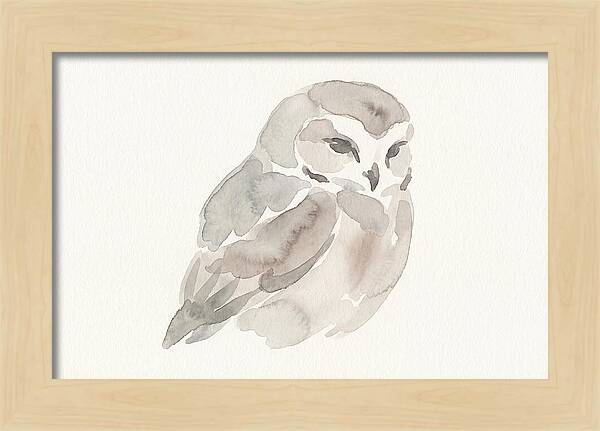 Little Owl Watercolor Study
