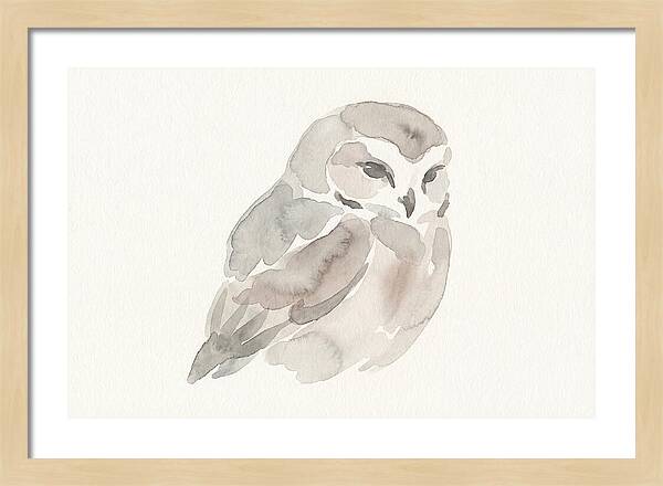 Little Owl Watercolor Study