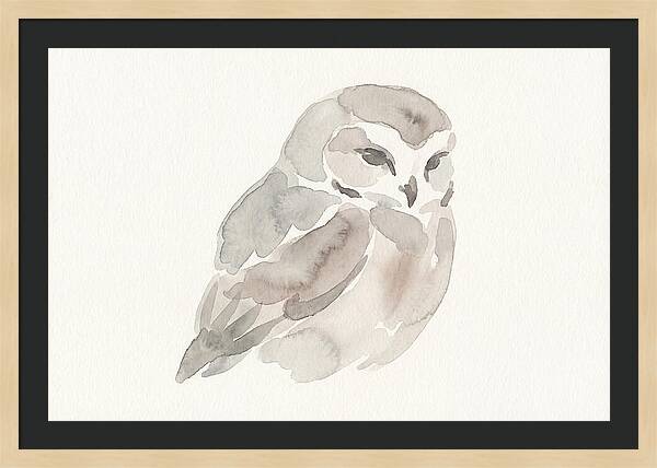 Little Owl Watercolor Study