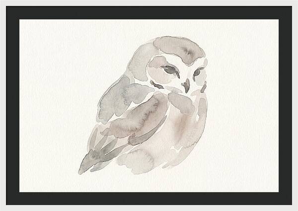 Little Owl Watercolor Study
