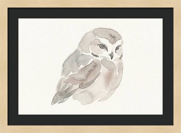 Little Owl Watercolor Study