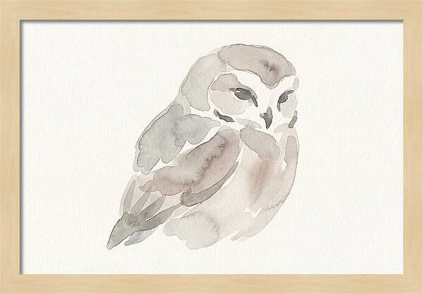 Little Owl Watercolor Study
