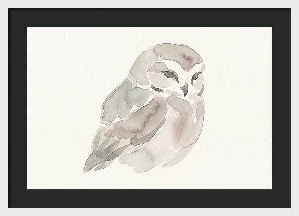 Little Owl Watercolor Study