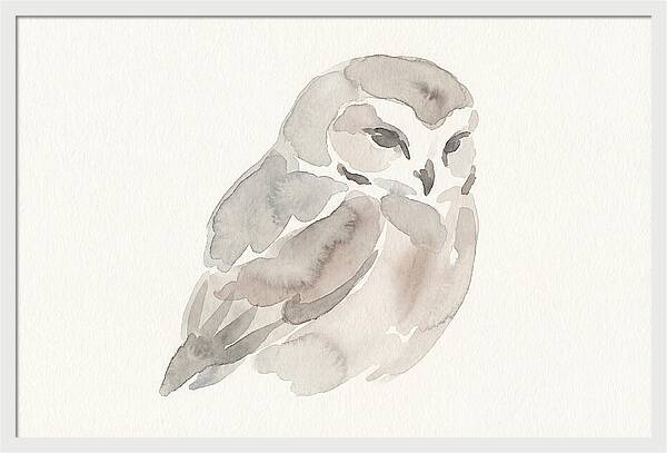 Little Owl Watercolor Study