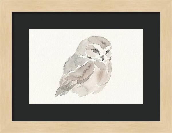 Little Owl Watercolor Study