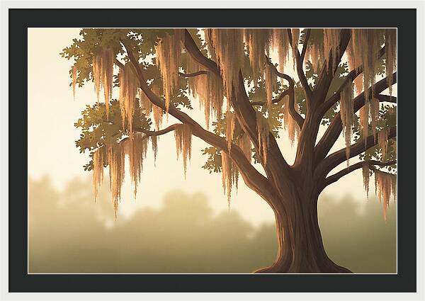 Live Oak Draped In Spanish Moss