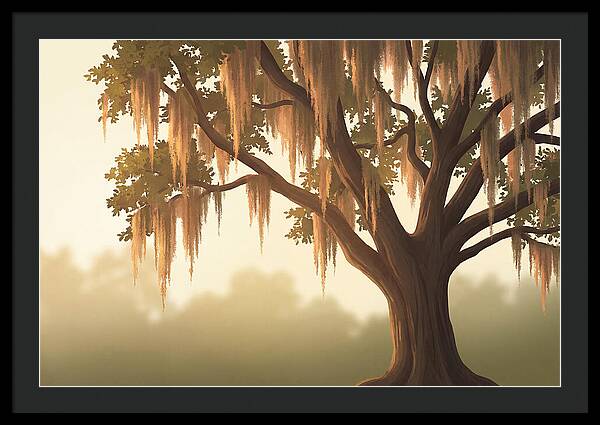 Live Oak Draped In Spanish Moss