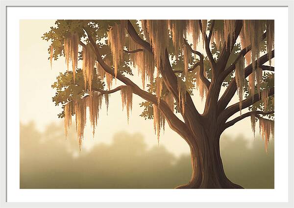 Live Oak Draped In Spanish Moss