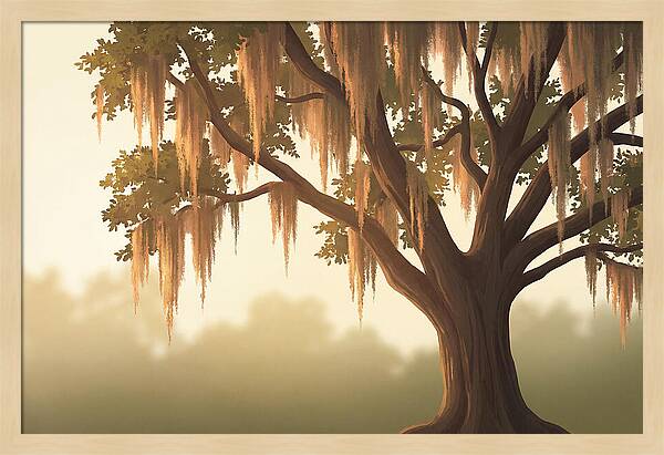 Live Oak Draped In Spanish Moss