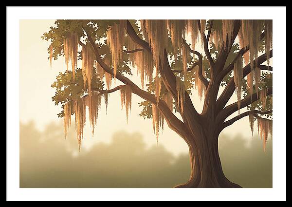 Live Oak Draped In Spanish Moss