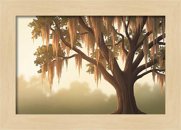 Live Oak Draped In Spanish Moss