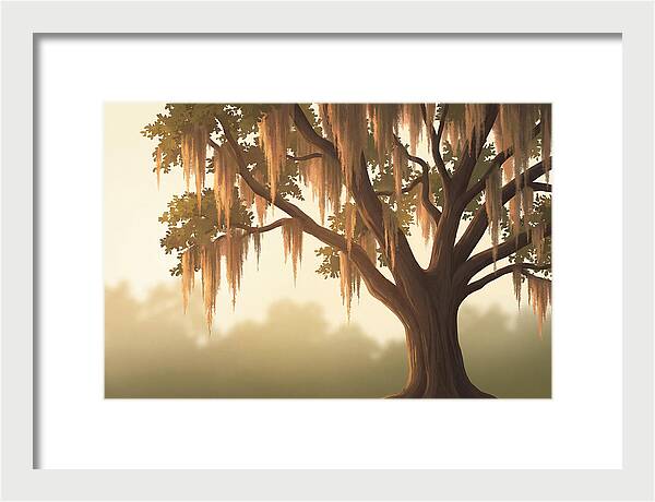 Live Oak Draped In Spanish Moss