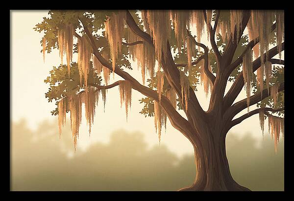 Live Oak Draped In Spanish Moss