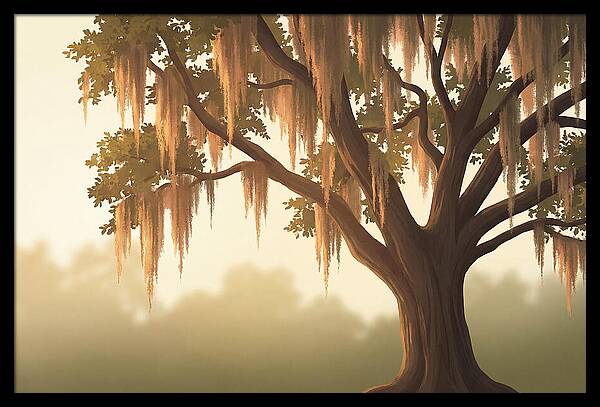 Live Oak Draped In Spanish Moss